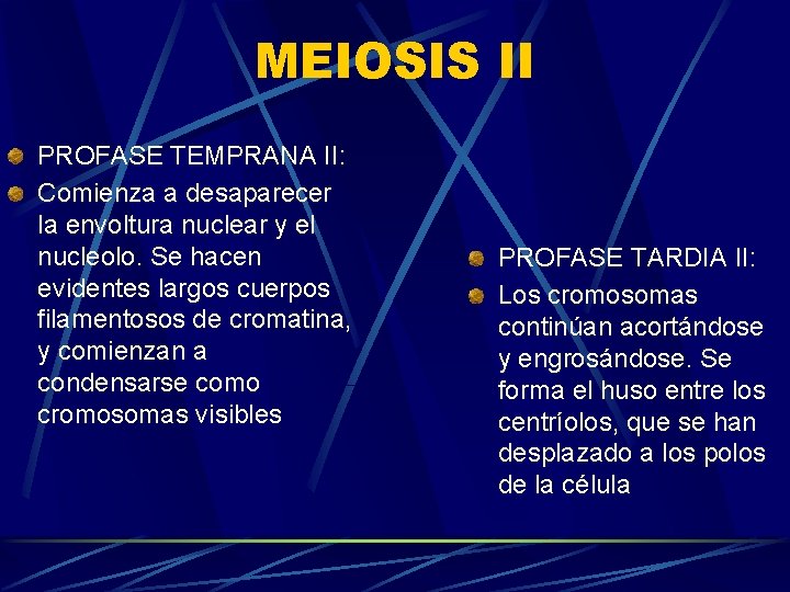 MEIOSIS II PROFASE TEMPRANA II: Comienza a desaparecer la envoltura nuclear y el nucleolo.