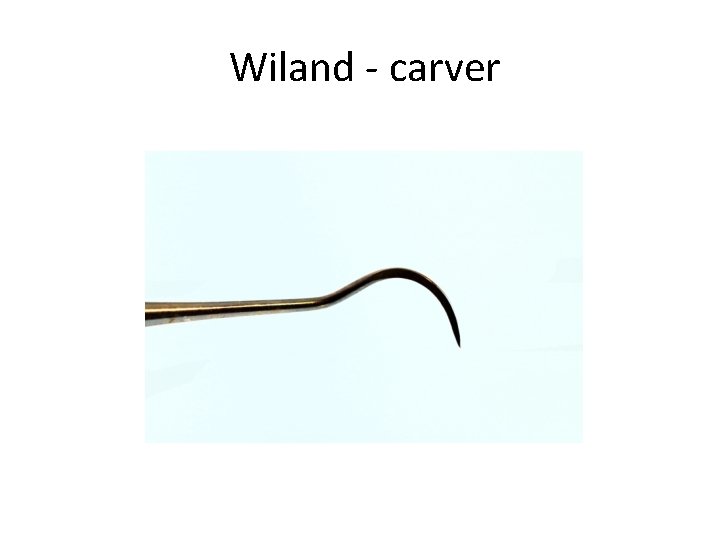 Wiland - carver 