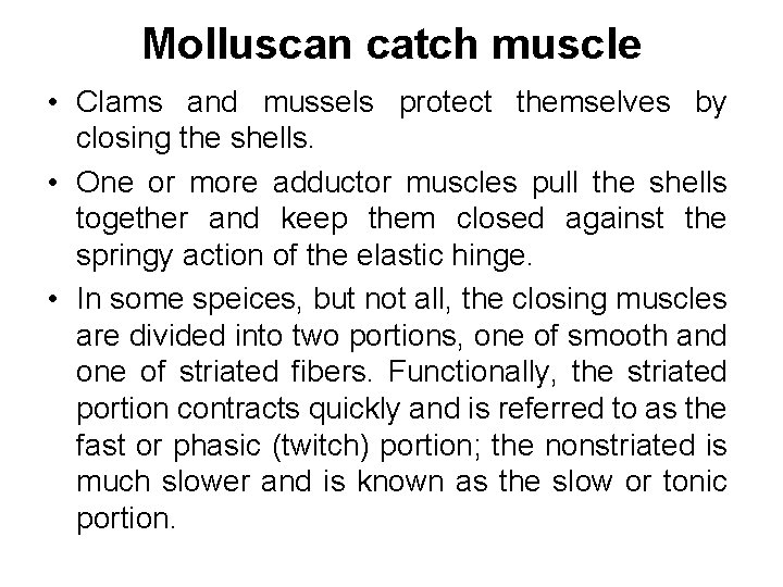 Molluscan catch muscle • Clams and mussels protect themselves by closing the shells. •