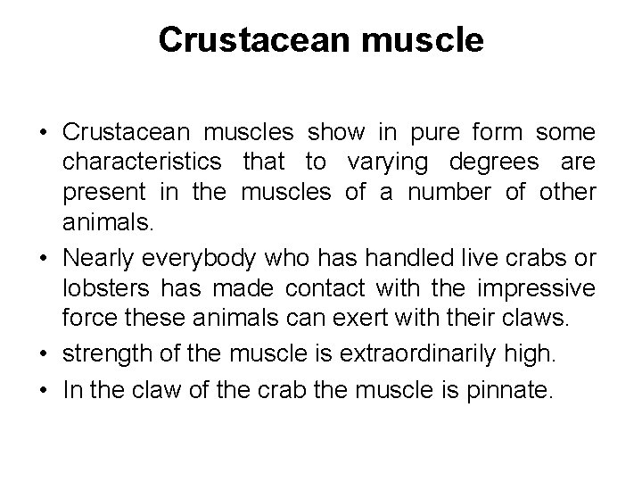 Crustacean muscle • Crustacean muscles show in pure form some characteristics that to varying