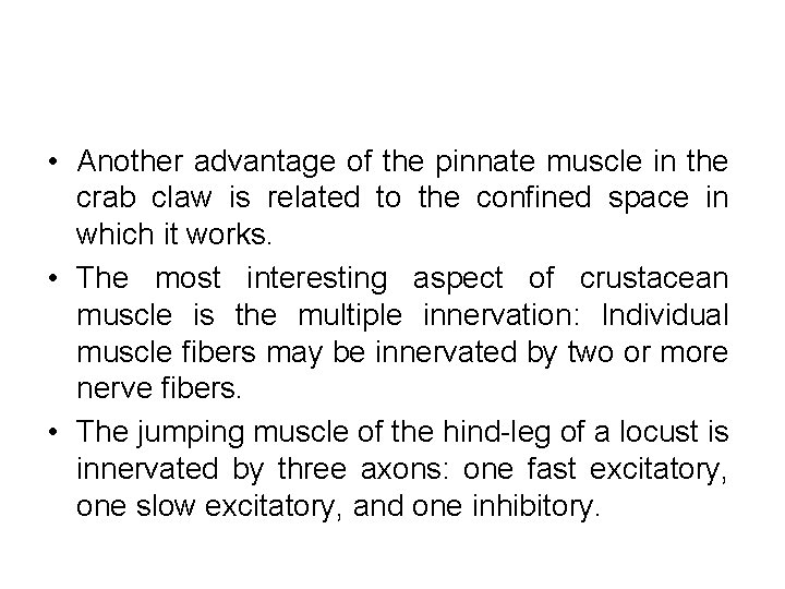  • Another advantage of the pinnate muscle in the crab claw is related