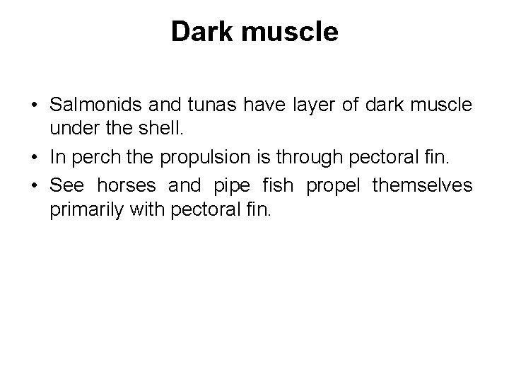 Dark muscle • Salmonids and tunas have layer of dark muscle under the shell.