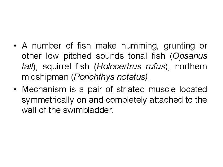  • A number of fish make humming, grunting or other low pitched sounds