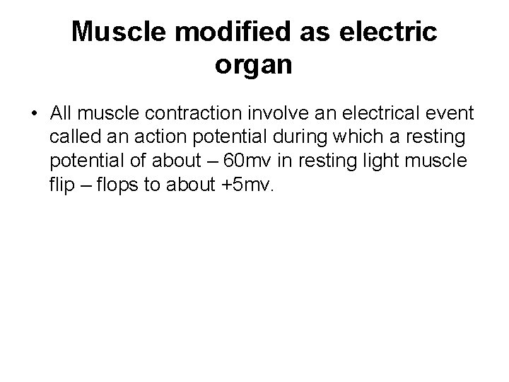 Muscle modified as electric organ • All muscle contraction involve an electrical event called