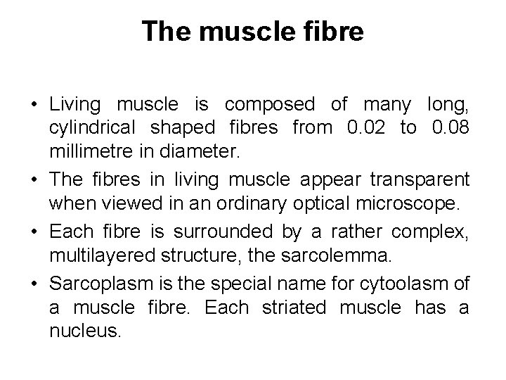 The muscle fibre • Living muscle is composed of many long, cylindrical shaped fibres