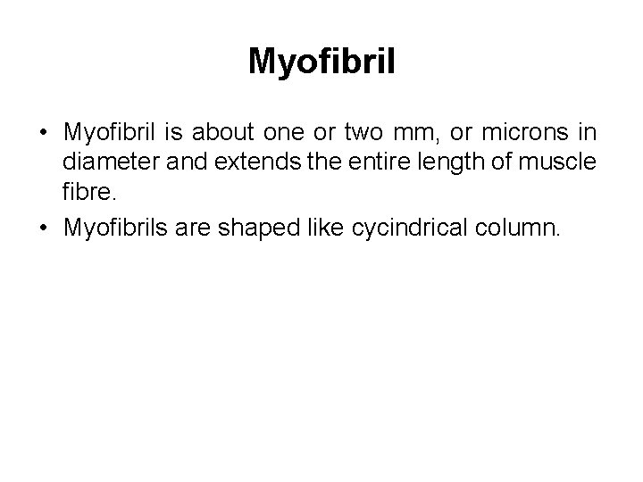 Myofibril • Myofibril is about one or two mm, or microns in diameter and