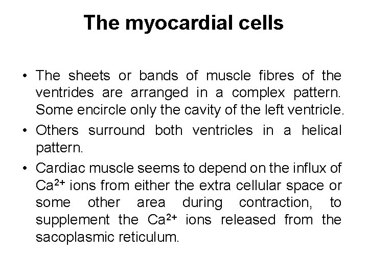 The myocardial cells • The sheets or bands of muscle fibres of the ventrides