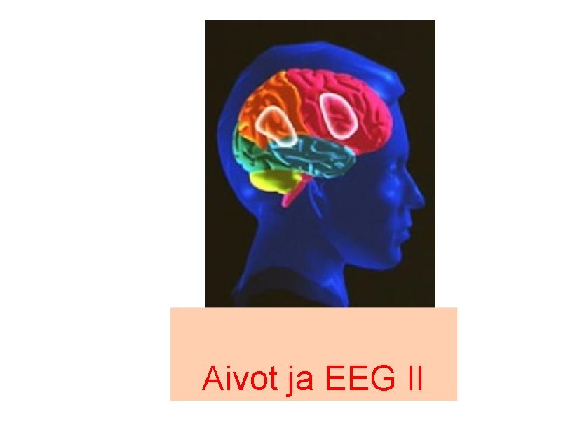 Aivot ja EEG II Aivot ja EEG II