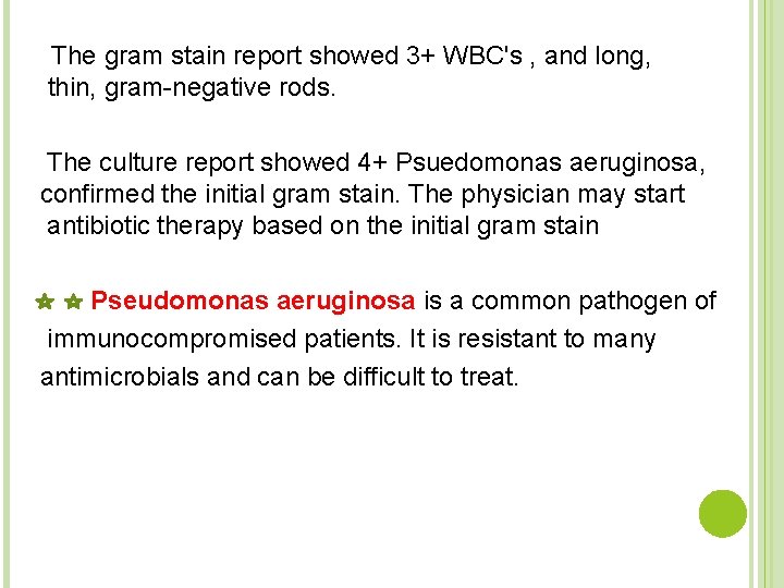 The gram stain report showed 3+ WBC's , and long, thin, gram-negative rods. The
