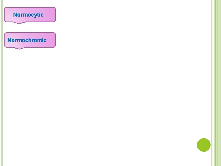 Normocytic Normochromic 