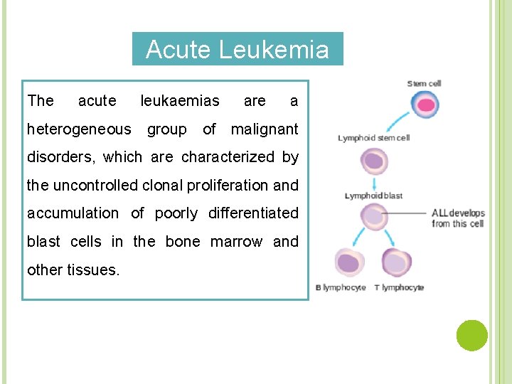 Acute Leukemia The acute leukaemias are a heterogeneous group of malignant disorders, which are
