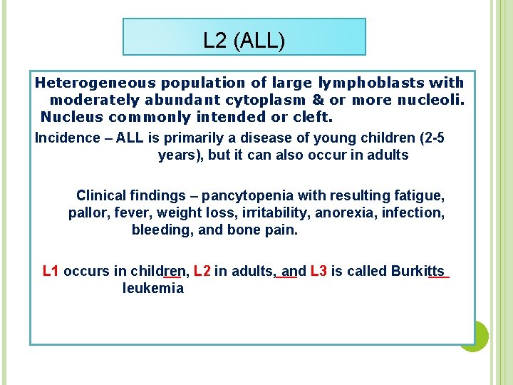 L 2 (ALL) Heterogeneous population of large lymphoblasts with moderately abundant cytoplasm & or