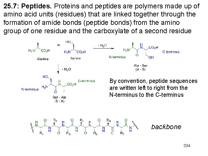 25. 7: Peptides. Proteins and peptides are polymers made up of amino acid units 25. 7: Peptides. Proteins and peptides are polymers made up of amino acid units