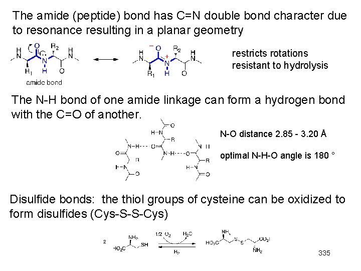 The amide (peptide) bond has C=N double bond character due to resonance resulting in The amide (peptide) bond has C=N double bond character due to resonance resulting in