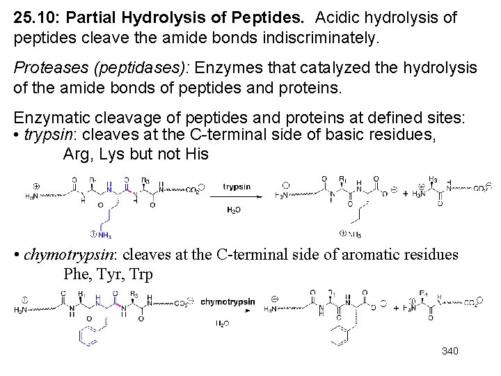 25. 10: Partial Hydrolysis of Peptides. Acidic hydrolysis of peptides cleave the amide bonds 25. 10: Partial Hydrolysis of Peptides. Acidic hydrolysis of peptides cleave the amide bonds