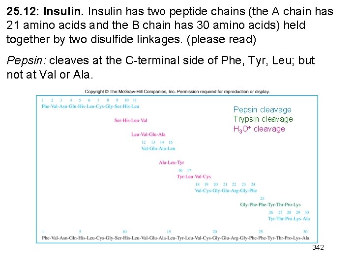 25. 12: Insulin has two peptide chains (the A chain has 21 amino acids 25. 12: Insulin has two peptide chains (the A chain has 21 amino acids