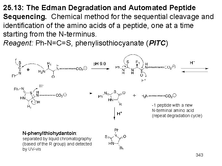 25. 13: The Edman Degradation and Automated Peptide Sequencing. Chemical method for the sequential 25. 13: The Edman Degradation and Automated Peptide Sequencing. Chemical method for the sequential