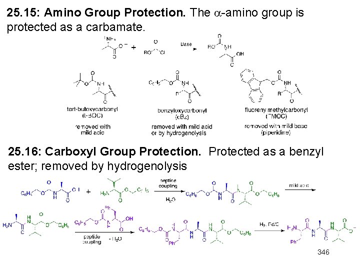 25. 15: Amino Group Protection. The -amino group is protected as a carbamate. 25. 25. 15: Amino Group Protection. The -amino group is protected as a carbamate. 25.
