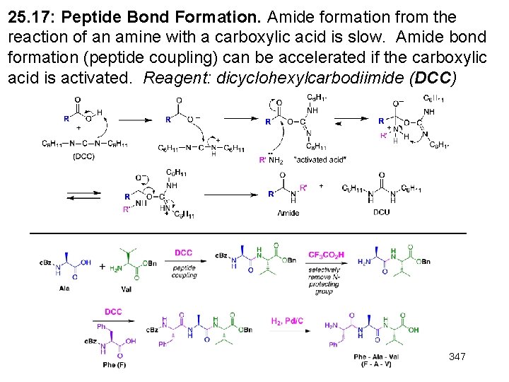 25. 17: Peptide Bond Formation. Amide formation from the reaction of an amine with 25. 17: Peptide Bond Formation. Amide formation from the reaction of an amine with