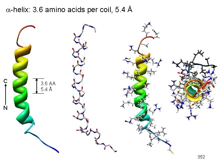-helix: 3. 6 amino acids per coil, 5. 4 Å C 3. 6 -helix: 3. 6 amino acids per coil, 5. 4 Å C 3. 6