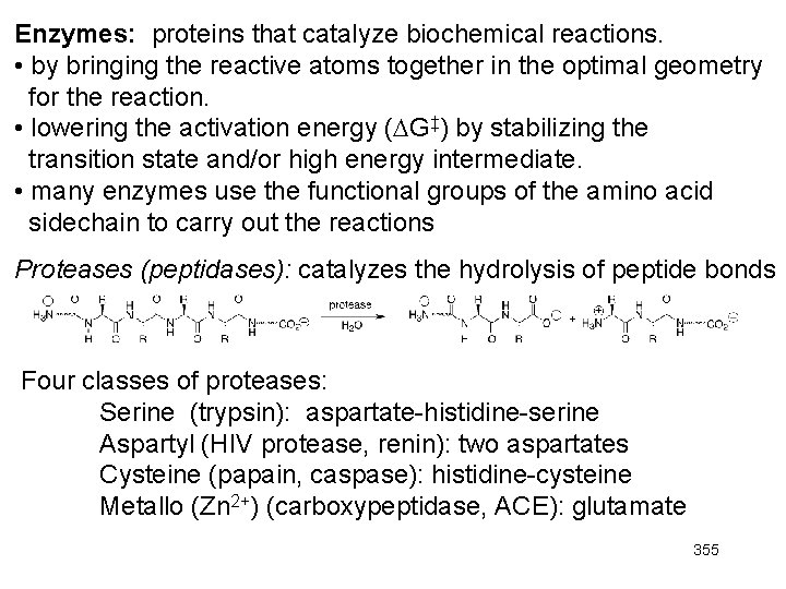 Enzymes: proteins that catalyze biochemical reactions. • by bringing the reactive atoms together in Enzymes: proteins that catalyze biochemical reactions. • by bringing the reactive atoms together in