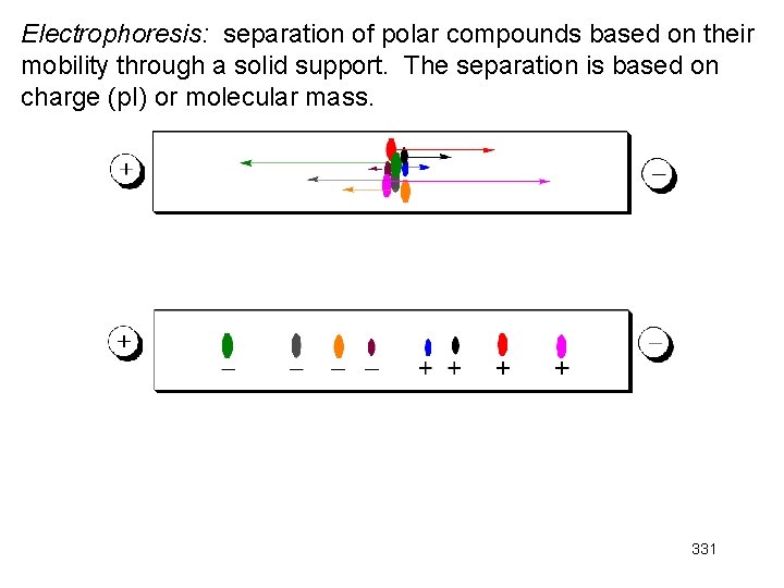 Electrophoresis: separation of polar compounds based on their mobility through a solid support. The Electrophoresis: separation of polar compounds based on their mobility through a solid support. The