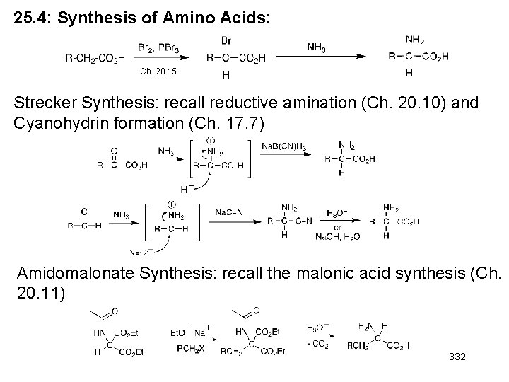 25. 4: Synthesis of Amino Acids: Ch. 20. 15 Strecker Synthesis: recall reductive amination 25. 4: Synthesis of Amino Acids: Ch. 20. 15 Strecker Synthesis: recall reductive amination