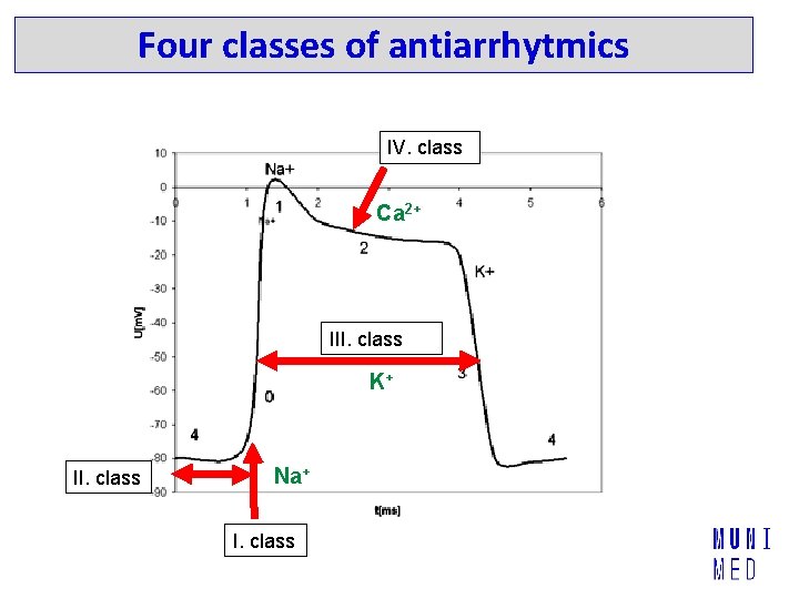 Four classes of antiarrhytmics IV. class Ca 2+ III. class K+ II. class Na+