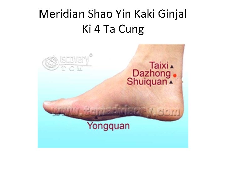 Meridian Shao Yin Kaki Ginjal Ki 4 Ta Cung 