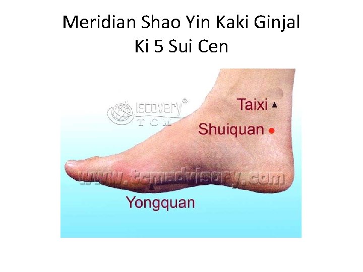 Meridian Shao Yin Kaki Ginjal Ki 5 Sui Cen 