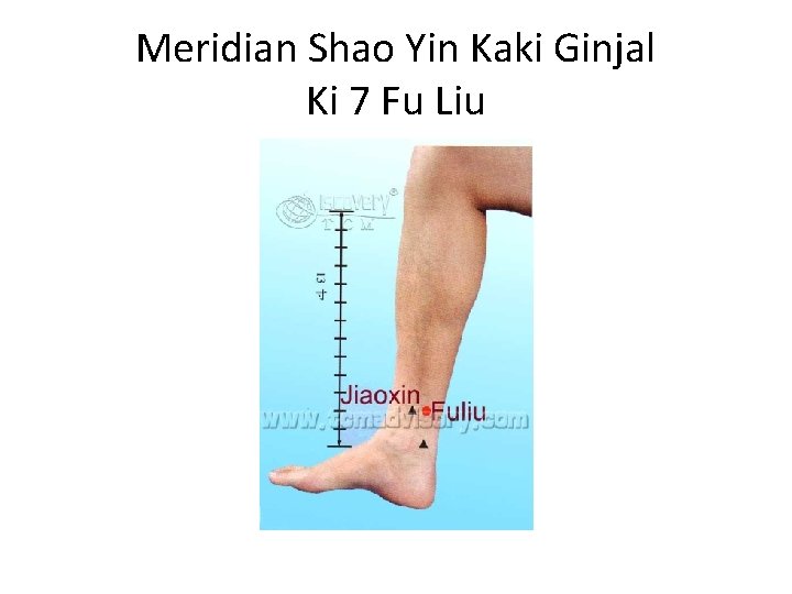 Meridian Shao Yin Kaki Ginjal Ki 7 Fu Liu 