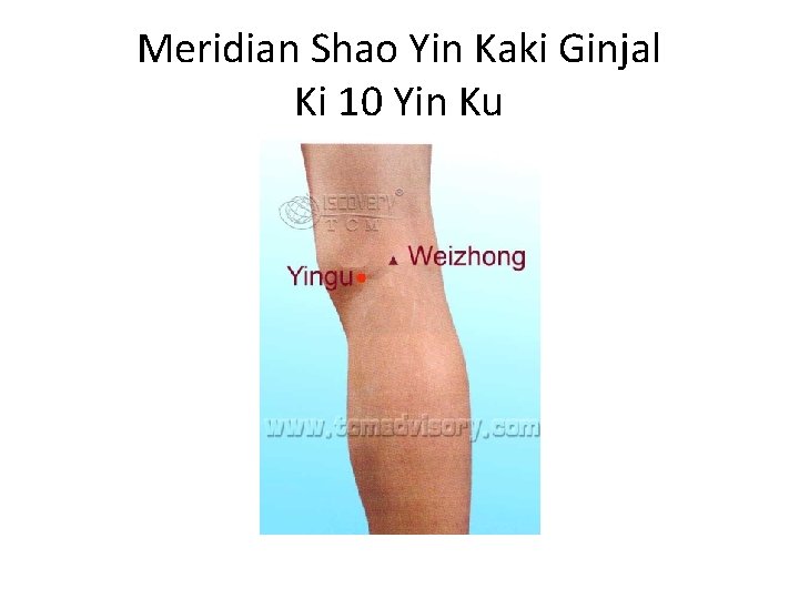 Meridian Shao Yin Kaki Ginjal Ki 10 Yin Ku 