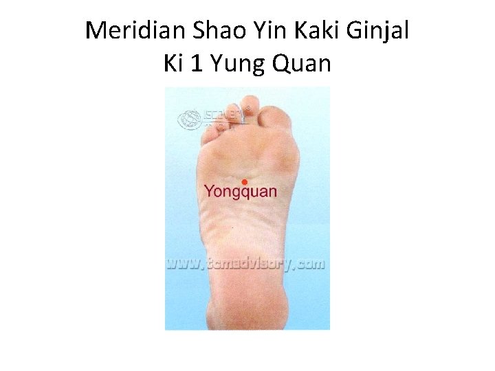 Meridian Shao Yin Kaki Ginjal Ki 1 Yung Quan 