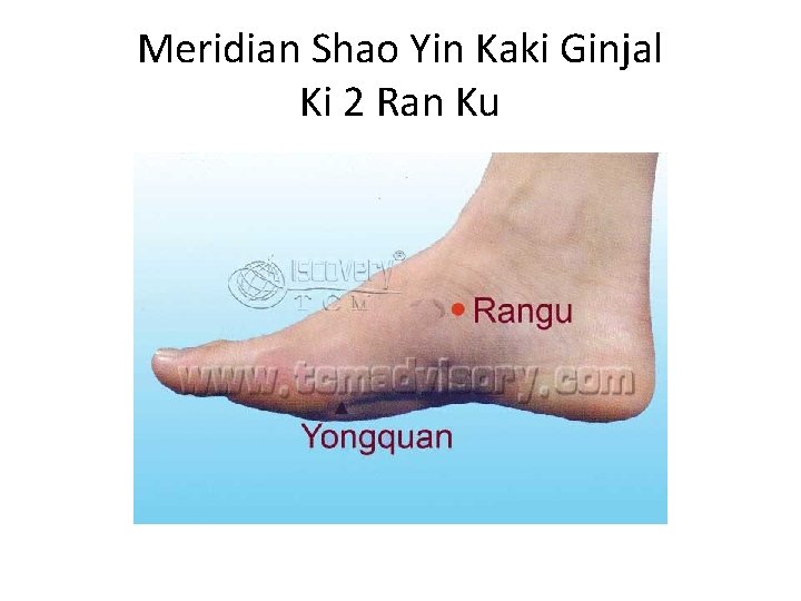 Meridian Shao Yin Kaki Ginjal Ki 2 Ran Ku 