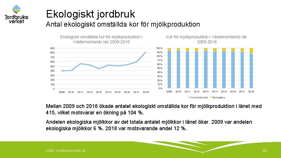 Ekologiskt jordbruk Antal ekologiskt omställda kor för mjölkproduktion Ekologiskt omställda kor för mjölkproduktion i