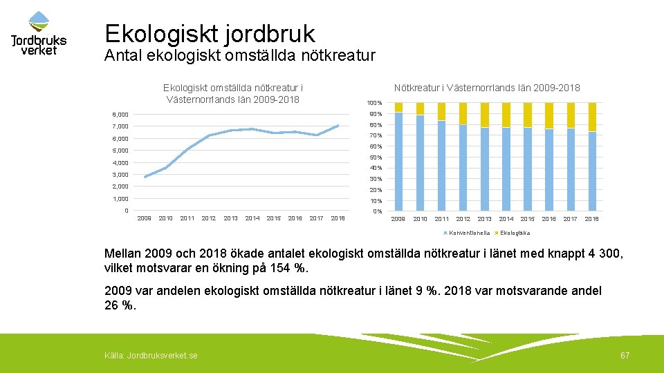 Ekologiskt jordbruk Antal ekologiskt omställda nötkreatur Nötkreatur i Västernorrlands län 2009 -2018 Ekologiskt omställda