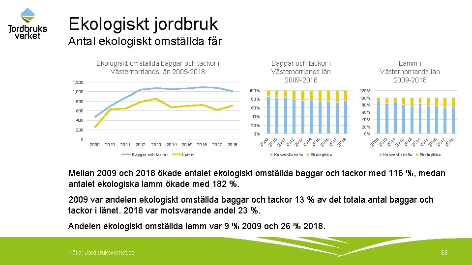 Ekologiskt jordbruk Antal ekologiskt omställda får Ekologiskt omställda baggar och tackor i Västernorrlands län