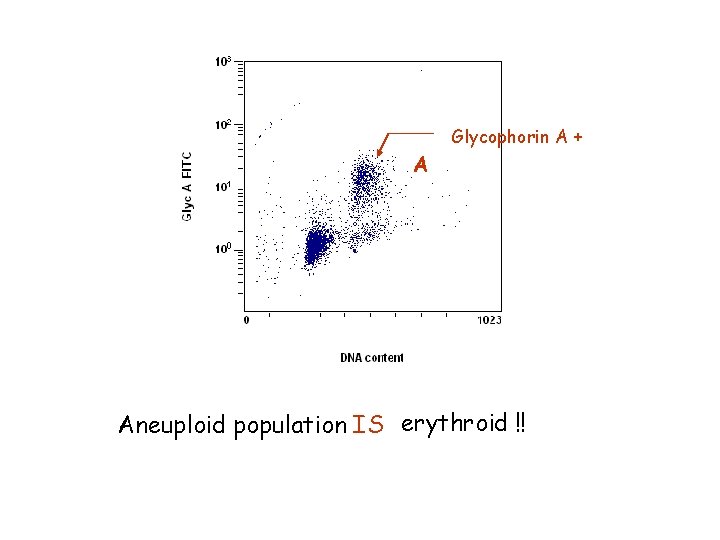 Glycophorin A + A Aneuploid population IS erythroid !! 