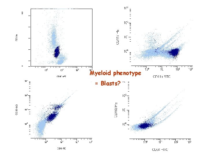 Myeloid phenotype = Blasts? 