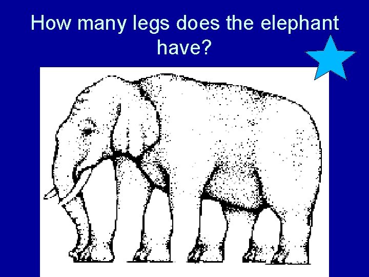 How many legs does the elephant have? 