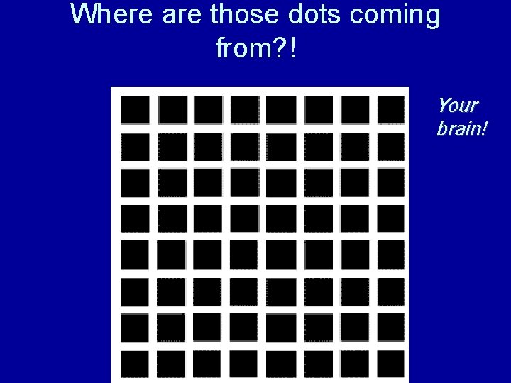 Where are those dots coming from? ! Your brain! 