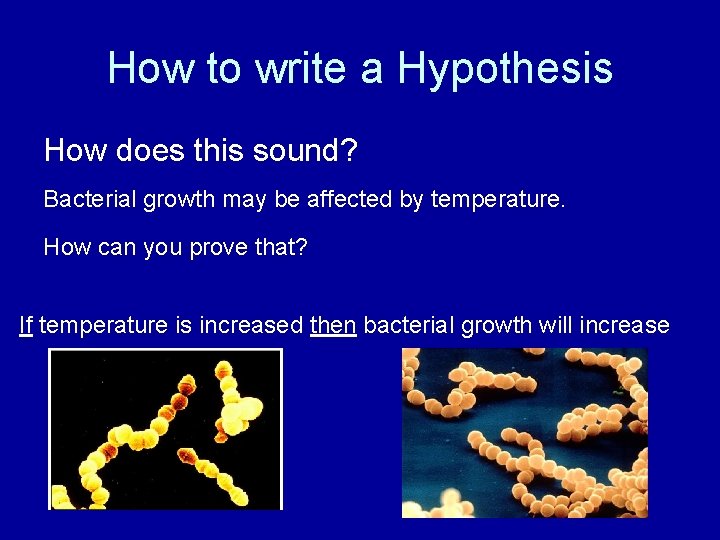 How to write a Hypothesis How does this sound? Bacterial growth may be affected