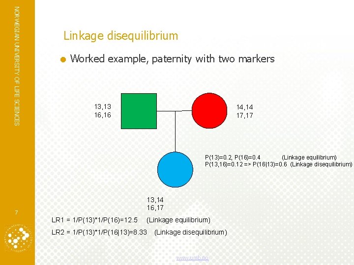 NORWEGIAN UNIVERSITY OF LIFE SCIENCES Linkage disequilibrium Worked example, paternity with two markers 13, NORWEGIAN UNIVERSITY OF LIFE SCIENCES Linkage disequilibrium Worked example, paternity with two markers 13,