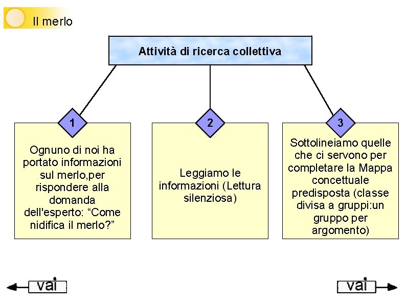 Il merlo Attività di ricerca collettiva 1 Ognuno di noi ha portato informazioni sul