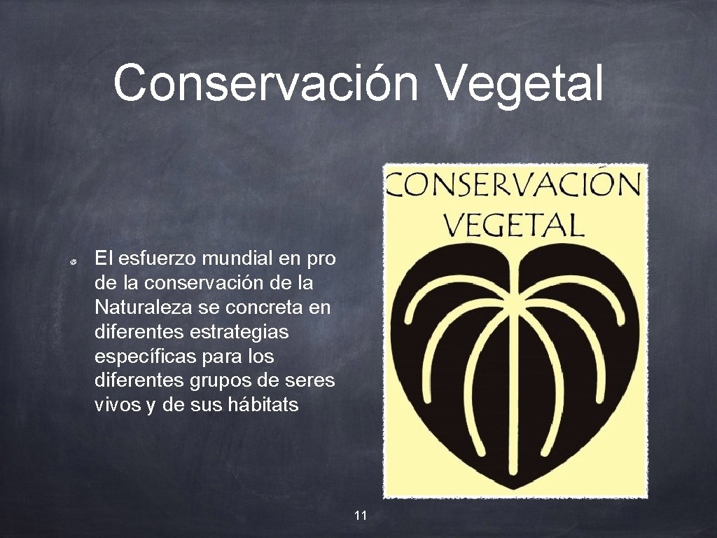 Conservación Vegetal El esfuerzo mundial en pro de la conservación de la Naturaleza se