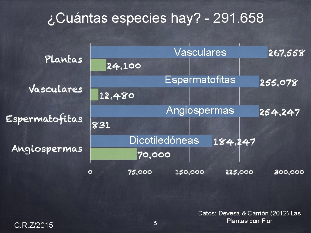 ¿Cuántas especies hay? - 291. 658 Vasculares Espermatofitas Angiospermas Dicotiledóneas C. R. Z/2015 5