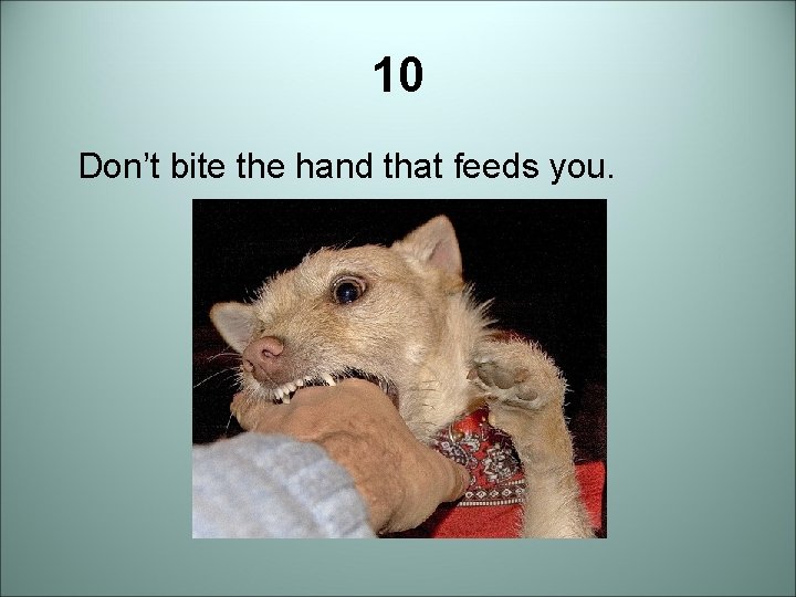 10 Don’t bite the hand that feeds you. 