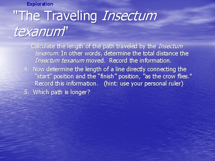 Exploration "The Traveling Insectum texanum" Calculate the length of the path traveled by the
