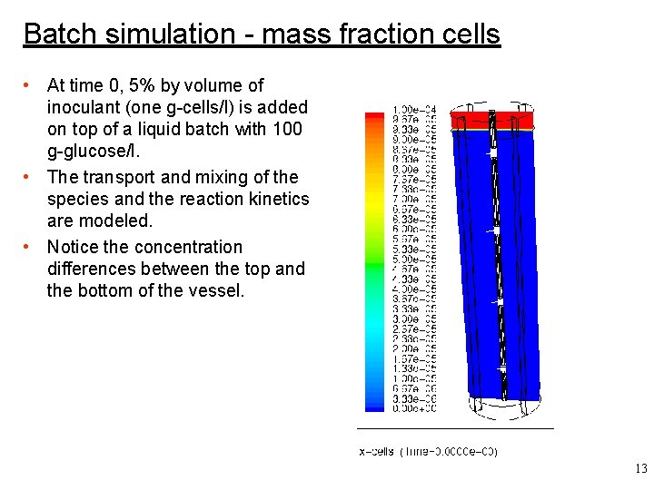 Batch simulation - mass fraction cells • At time 0, 5% by volume of