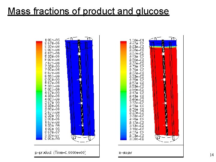 Mass fractions of product and glucose 14 